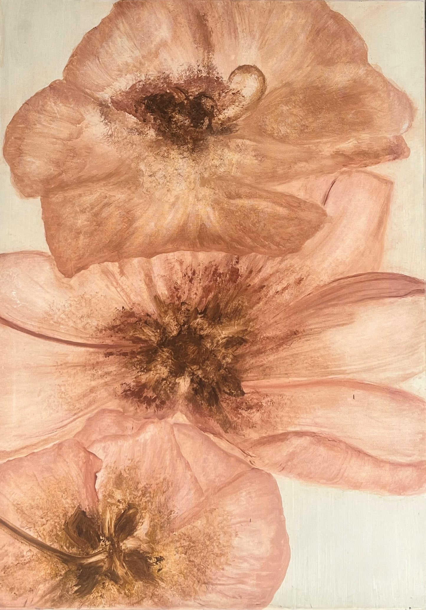 3 Pivoines