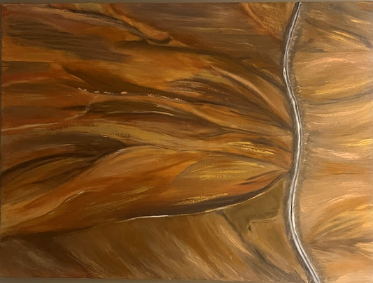 Earth (Inspiré de Yann Arthus-Bertrand)